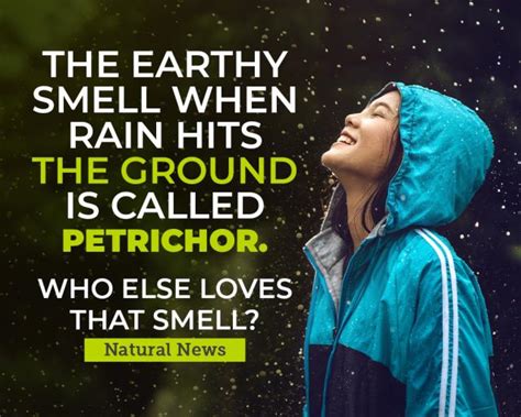 The Earthy Smell When Rain Hits The Ground Is Called