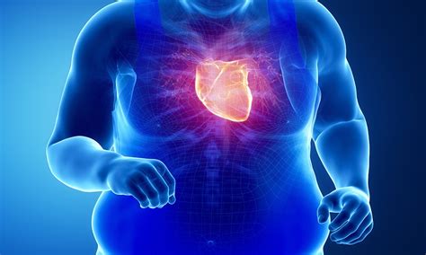 Physiopathologie de l'insuffisance cardiaque à fraction d ...