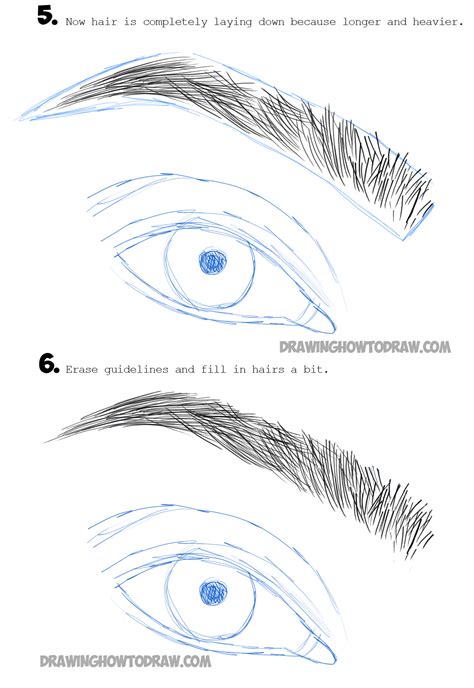 How To Draw Eye Brows Step By Step Drawing Tutorial How To Draw Step By Step Drawing Tutorials
