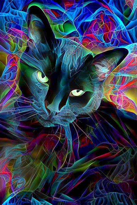 Black Cat Art Psychedelic Art Fractal Art Psychedelic Cat Etsy In 2021 Psychedelic Art Cat