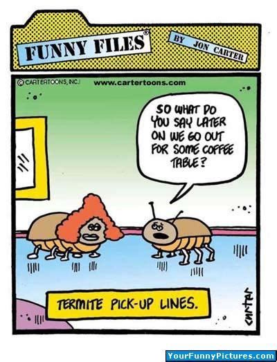 les 9 meilleures images du tableau termite jokes sur pinterest blagues drôle et humour