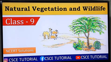 Class 9 Natural Vegetation And Wildlife Class 9 Geography Youtube