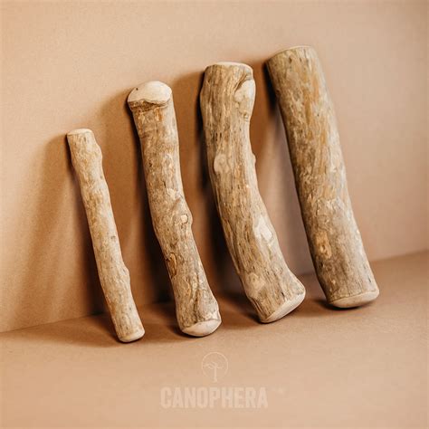 Canophera Dog Chew Stick Made Of Coffee Tree Wood Medium 240g Pets At