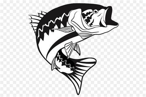 Fishing Clipart Black And White Largemouth Bass Pictures On Cliparts