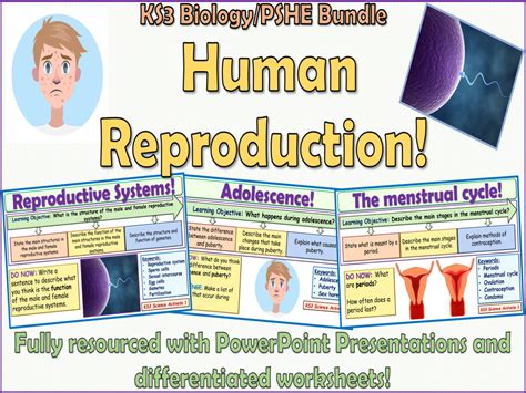 Human Reproduction Activate 1 Ks3 Science Bundle Teaching Resources