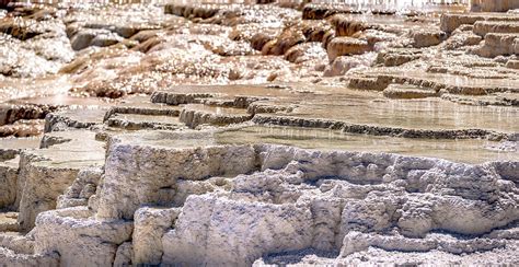 Travertine Terraces Mammoth Hot Springs Yellowstone Photograph By