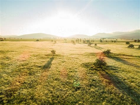 Image Of Golden Sunlight Shining Over Farm Paddock With Long Green