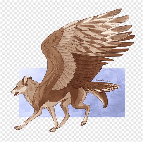 Eagle Wolf Painting Drawing M083vt Eagle Animals Carnivoran Png