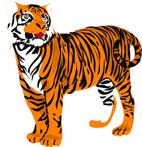 Free Vector Graphic Tiger Stripes Standing Animal Free Image On