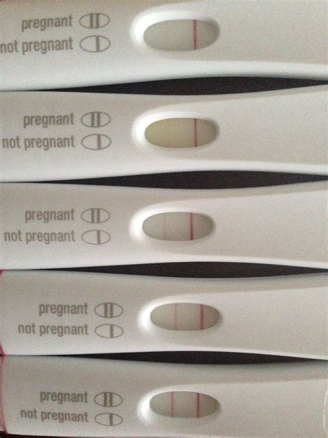 Frer Line Progression 7 18 Dpo Line Progression Frer Finally Got My Dye Stealer Daniel Williamson