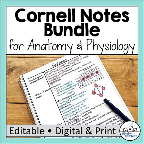 Anatomy And Physiology Doodle Notes Bundle Suburban Science