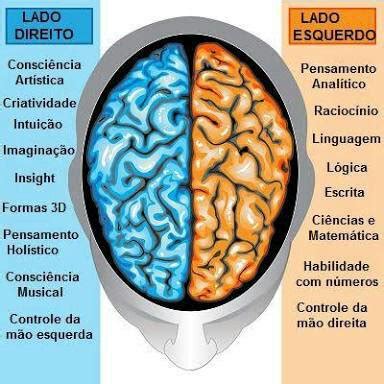 Anatomia Ciências Humanas e Exatas Amino