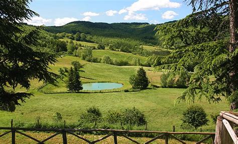 Details Cerretone All Properties In Tuscany Casentino