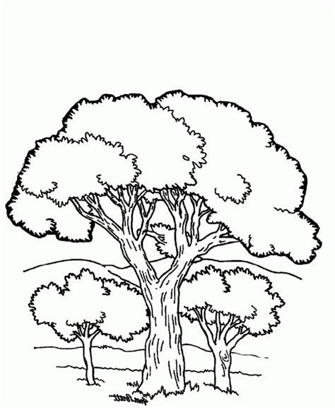 In 20th century scientists have studied some of the therapeutic advantages of coloring pages, especially for adults. Coloring Pages Of Mountains - Coloring Home