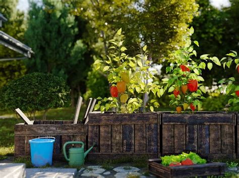 Raised Bed Gardening 101 Tips On Designing Building And Filling Your