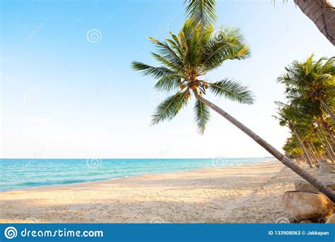 Landscape Of Coconut Palm Tree On Tropical Beach Stock Image Image Of