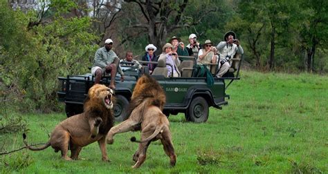 Luxury African Safaris Are Some Of The Most Memorable And Fun Vacation