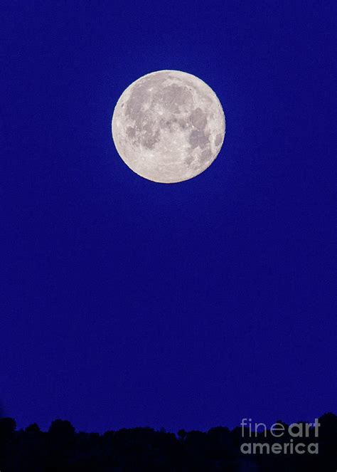 May Full Moon 1 Photograph By Steven Natanson Fine Art America