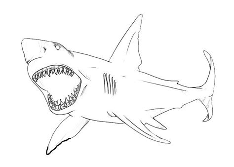 Printable coloring sheets shark free shark coloring pages. 17 Best images about Sharks on Pinterest | Shark fin ...
