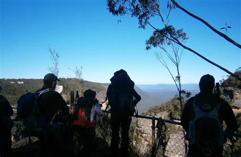 Six Foot Track Blue Mountains Insights Cut Lunch Adventures