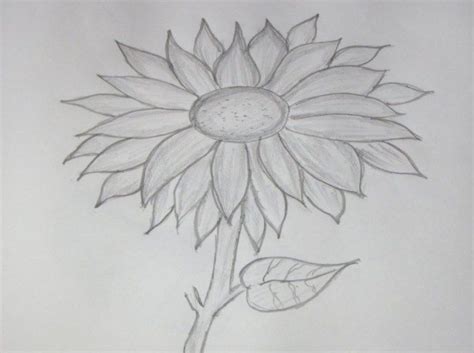 Discover more posts about bunga art. Cara Menggambar Bunga dan Sketsanya dengan Mudah (Dengan ...