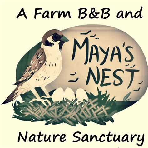 Maya S Nest