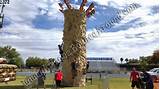 Rock Wall For Rent Images