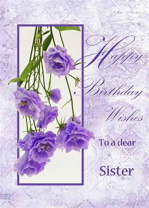 The relationship with the sister is world's most loving and dear sister, although we may argue from time to time, you will always be the most important person in my life. Happy Birthday Wishes To A Dear Sister Photograph by ...