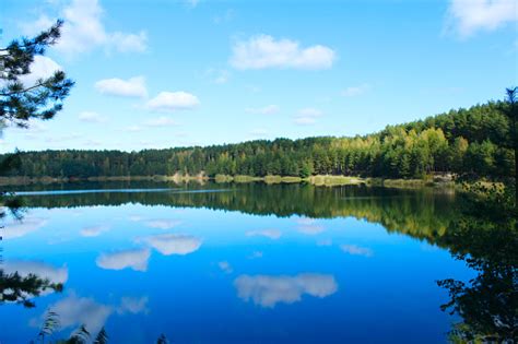 Landscape With Beautiful Lake In The Forest Stock Photo - Download Image Now - iStock