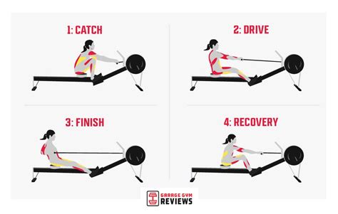 How To Use A Rowing Machine Garage Gym Reviews
