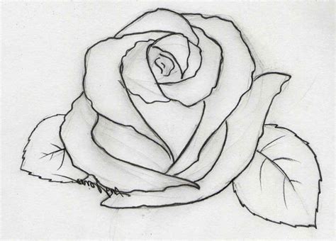 Easy Pencil Drawing Ideas Art Flowers