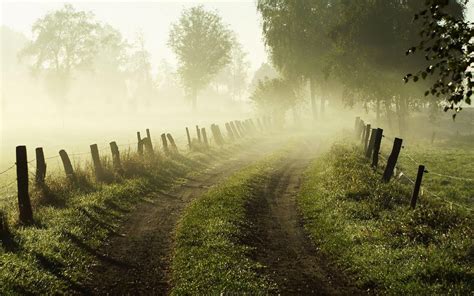 wallpapers: Early Morning Fog Wallpapers