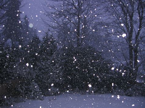 Images Of Falling Snow