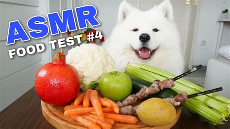 Maya Polar Bear Dog Reviewing Different Types Of Food Part 4 Asmr