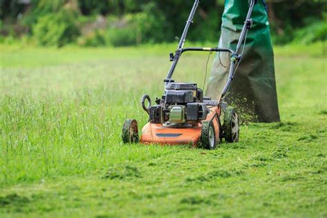 Why A Professional Lawn Maintenance Company Should Be Hired To Cut Your