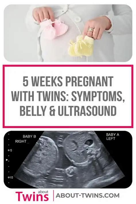 Weeks Pregnant With Twins Symptoms Belly Ultrasound About Twins