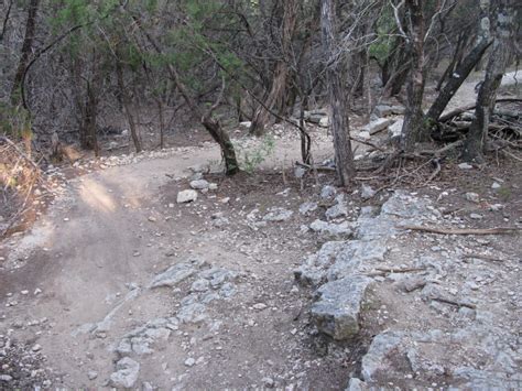 Most cactus encounters aren't quite that harrowing. MountainBikeTx.com | Trails | Hill Country | Emma Long ...
