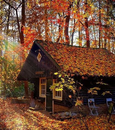 Pin By Rory Labetti On Falling For Autumn House In The Woods Forest