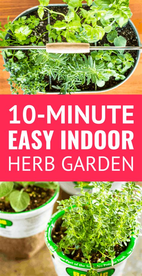 If you are looking for indoor garden amazon.ca you've come to the right place. 10-Minute Easy DIY Indoor Herb Planter - Unsophisticook