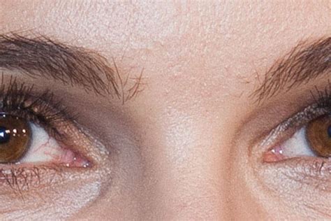 Can You Guess These Famous Celebrity Eyebrows Glamour