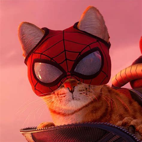 Marvels Spider Man Miles Morales Pfp Fotos De Animais Engraçados