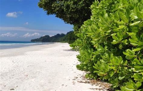 About Havelock Island Swaraj Dweep Andaman Islands