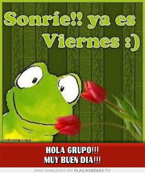 Divertida meme para saludar a tus amigos de whatsapp!! Hola grupo!!! muy buen día!!! - Placas Rojas TV