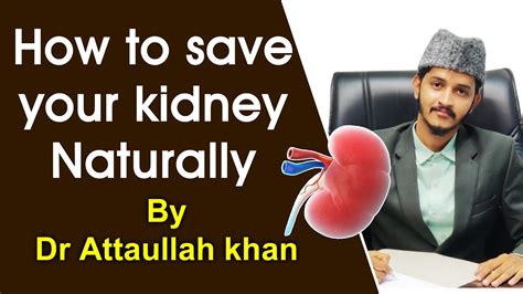 How To Save Your Kidney Naturally By Dr Attaullah Khan Youtube