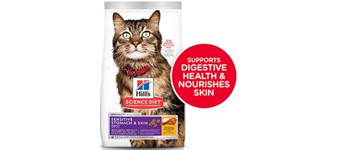 A high fiber diet packs many impressive health benefits. 10 Best High Calorie Cat Food (May 2020 Reviews)