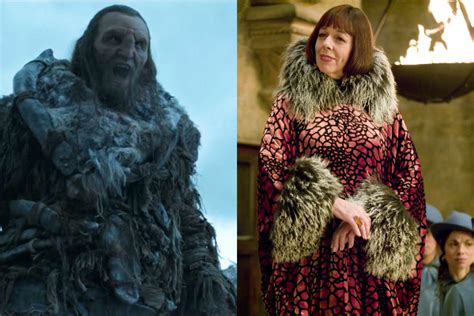 14 Game Of Thrones Actors Who Were Also In Harry Potter Page 11