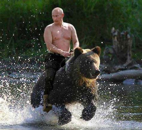 Yes putin upholds an old russian tradition of bear cavalry. Stratfor sees a weaker Russia than the superpower that ...