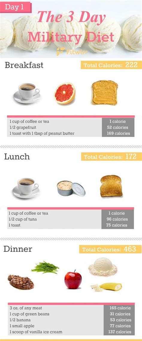 Beginners Guide For 3 Day Military Diet Infographics Diet Loss