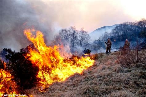 Hundreds Of Acres Of Heathland Destroyed As Wildfires