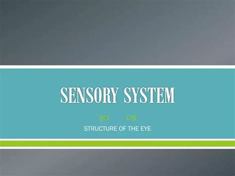 Ppt Sensory System Powerpoint Presentation Free Download Id1761757